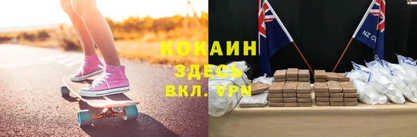 прущая мука Арсеньев